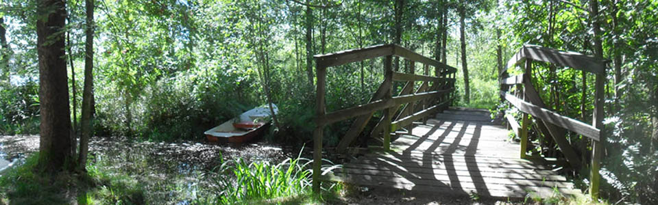 Wege durch die Natur in Schweden